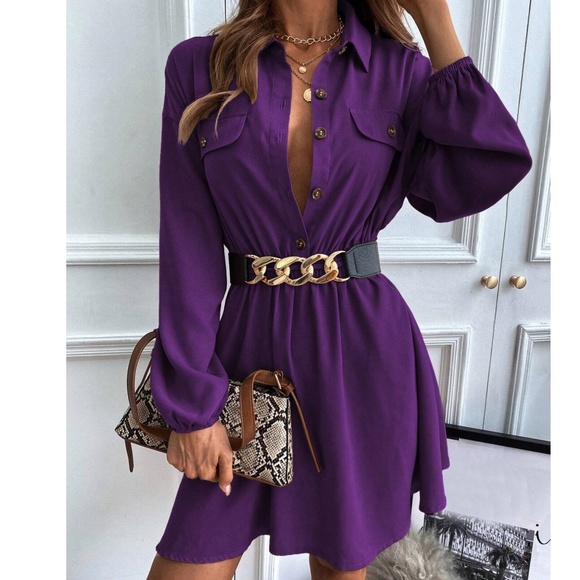 Classic Button Bishop Sleeve Oversized Shirt Dress - Picture 9 of 11